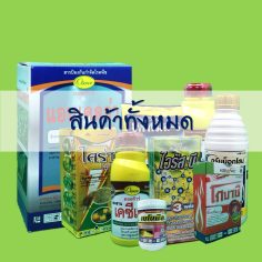 สินค้าทั้งหมด