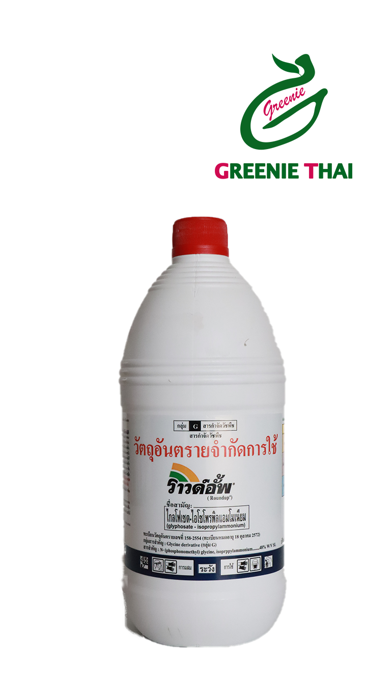 ราวอัพ