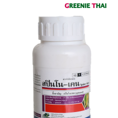 สปินโน-เคน spino-ken