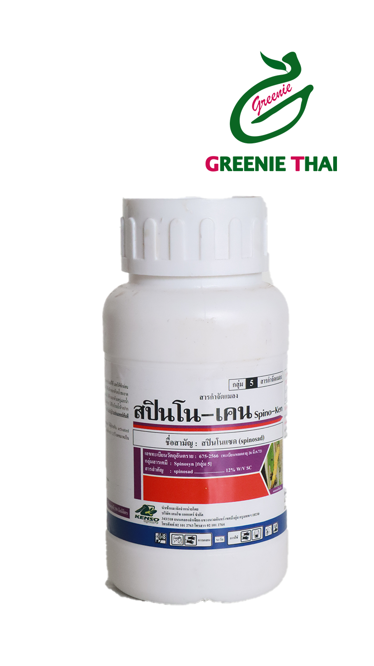 สปินโนเคน 250 ซีซี