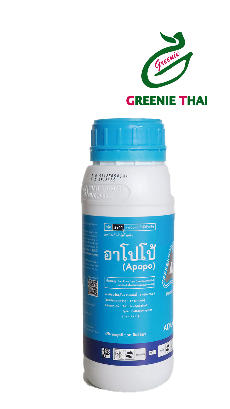 อาโปโป้