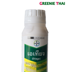 เอเทียจ