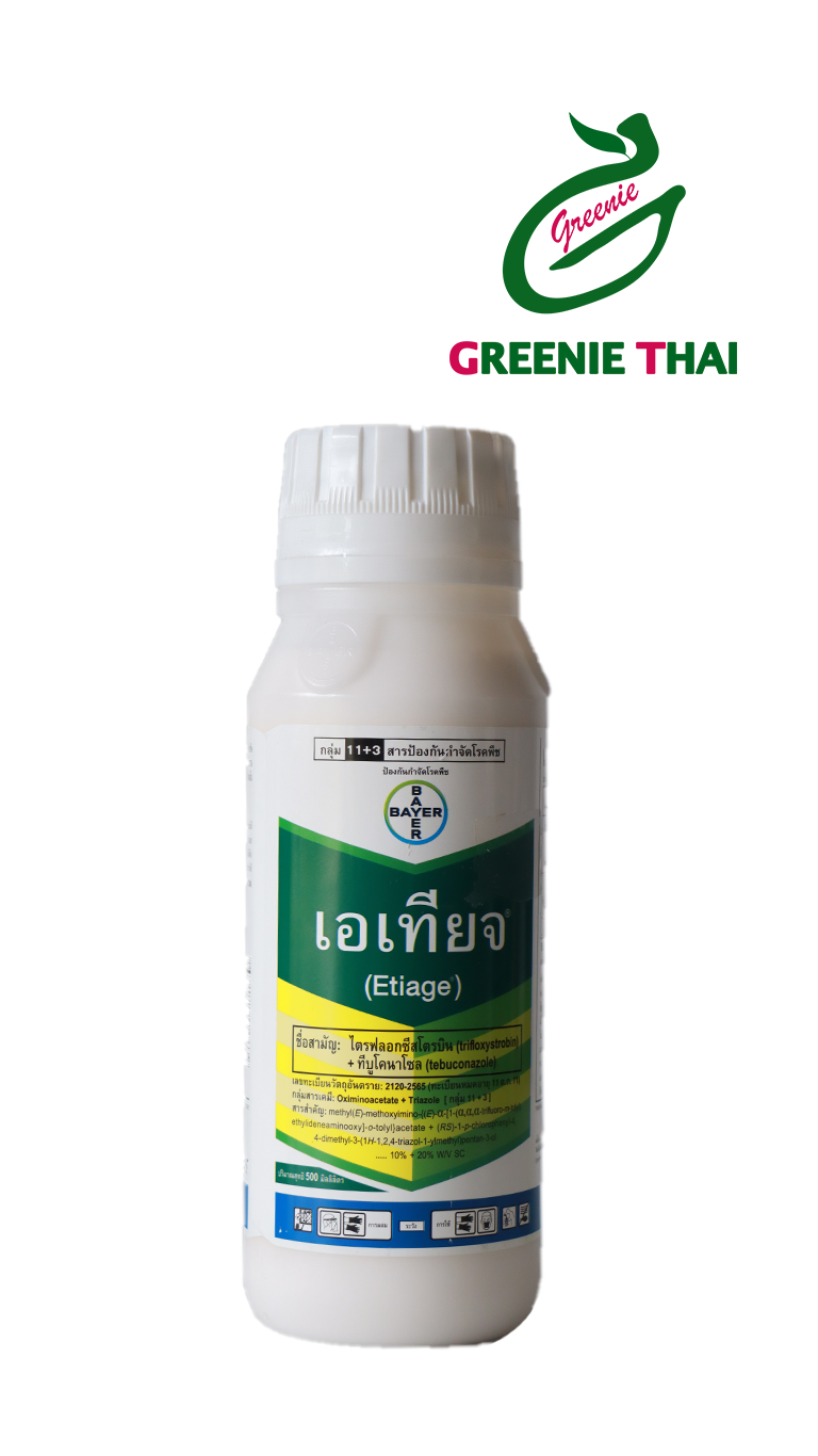 เอเทียจ