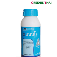 แบนโจฟอเต้