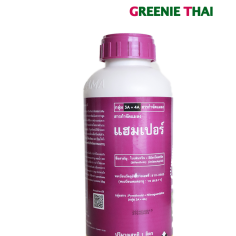 แฮมเปอร์