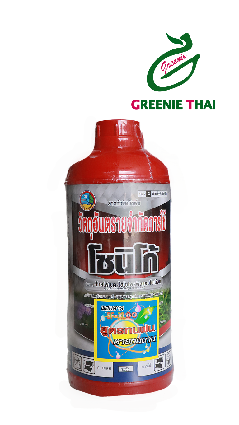 โซนิโก้