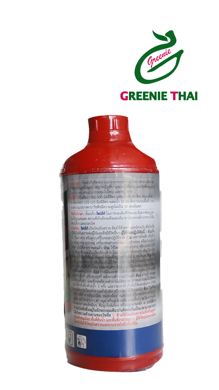 โซนิโก้.png หลัง