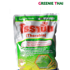 โธราบิ้น