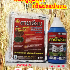 โปรแพคคู่ ตายเรียบ+เฮอร์โฟซิเนต
